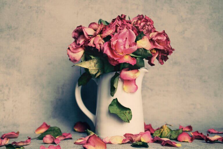 Libido et Ménopause : Vers une nouvelle intelligence sensorielle